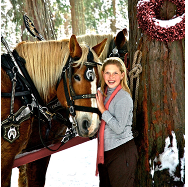 Girl with draft horses